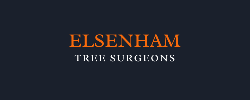 Elsenham Tree Surgeons